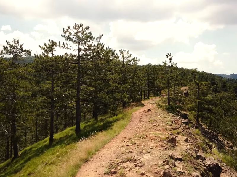 staza na planini maljen